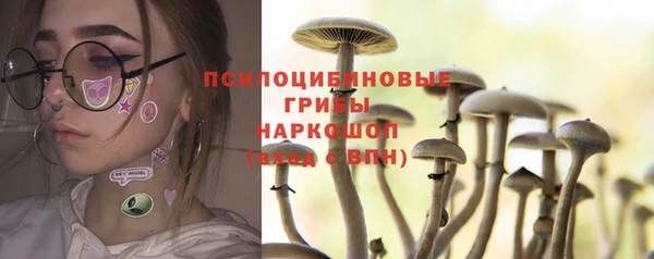 сатива Абинск