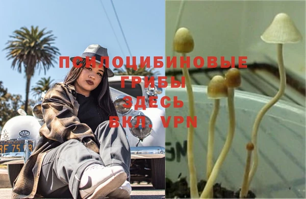 mdpv Алзамай