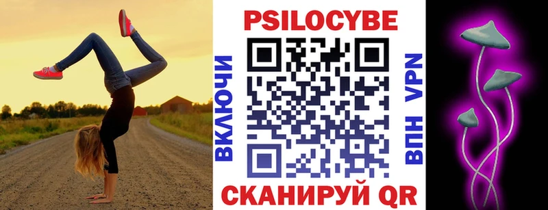 где найти   Ужур  Псилоцибиновые грибы MAGIC MUSHROOMS 